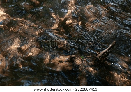 Abstract background of rippled water surface with ripples and reflections.
Reflection of sunlight on the surface of the water. Abstract background.