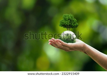 Global sustainable environment concept - ESG, net zero, eco, co2, carbon, human hand holding green globe orb with growing tree save our planet, world environment day, earth day and climate change Royalty-Free Stock Photo #2322915409