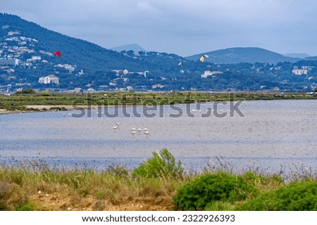 Scenic landscape of Giens Peninsula with kite surfers and flamingos on a cloudy late spring day. Photo taken June 9th, 2023, Giens, Hyères, France.