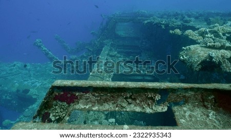 Deck grown with corals of ferry Salem Express shipwreck on blue water background, Red sea, Safaga, Egypt