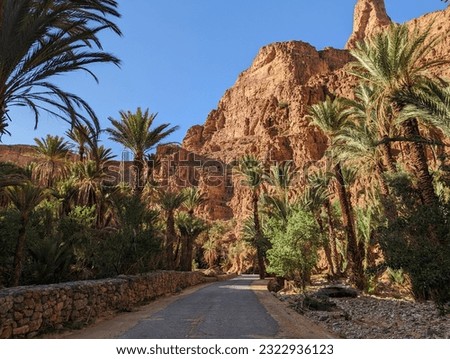 Scenic oasis Ait Mansour in the Anti-Atlas mountains of Morocco Royalty-Free Stock Photo #2322936123