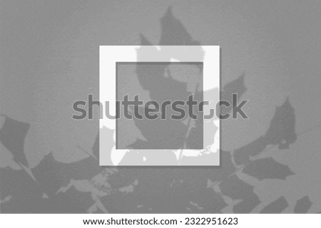 Natural light casts shadows from the leaves of a tree branch on square frame of white textured paper lying on a gray facture background. Mock up with an overlay of plant shadows