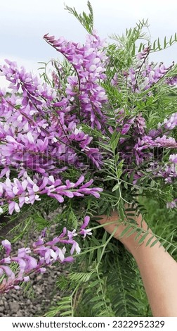 A beautiful bouquet of lavender and other wild flowers.