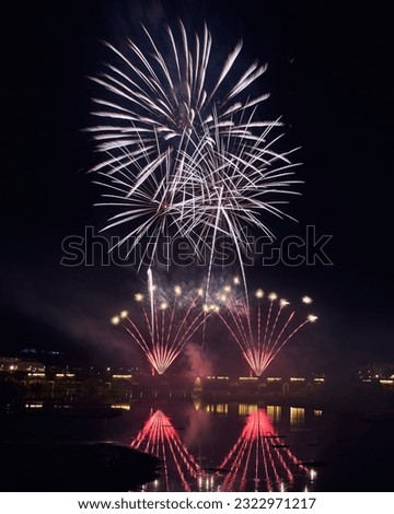 Fireworks over a park in the night sky, happy new year, year 2023 2024, new year 2023 24, badajoz, spain