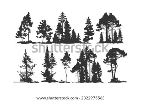 Set Silhouette of pine trees. Vector illustration desing.