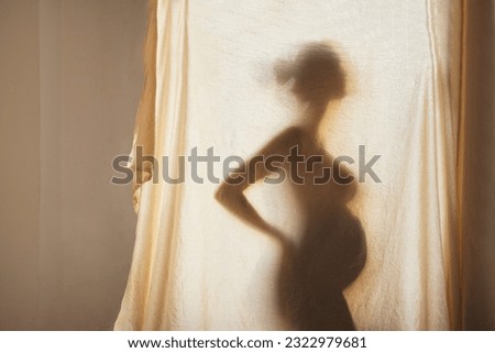 Shadow silhouette of a female pregnant behind a textured fabric. A woman expecting a baby stands sideways and holds her hands on the waist. Motherhood and care concept. Copy space.