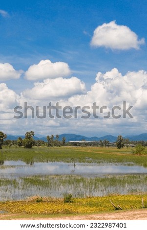 Vertical picture of rice fields that are about to flood during the flood season in central Thailand. The backdrop is an elevated road under construction of the Tanintharyi Mountains and white clouds.