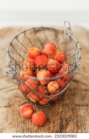 Small red crab apples in vintage metal basket on a wooden table Royalty-Free Stock Photo #2323029083