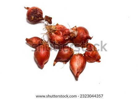 several shallots in a white background, top view
