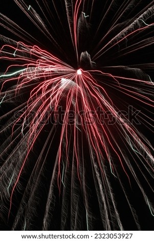 Fireworks Fireworks: The Color of Celebration Culture