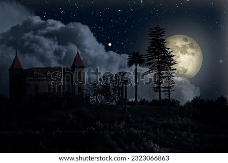Old mysterious house in a full moon night