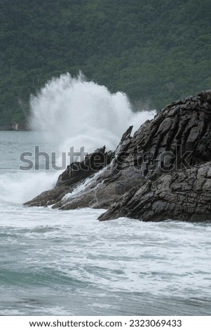 Rocks inside sea with horizon background. Sea foam near rocks with sea and forest background. 