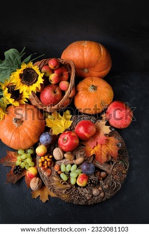 Wiccan altar for Mabon sabbat. wheel of the year, fruits, pumpkins, flowers and autumn leaves on dark background. Witchcraft, esoteric spiritual ritual. autumn equinox holiday. harvest time. top view Royalty-Free Stock Photo #2323081103