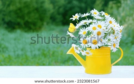 Summer background. Chamomile flowers bouquet in yellow watering can and butterfly on table in garden. rustic floral composition. summer season. template for design. copy space.