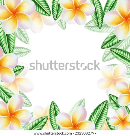 Watercolor frame realistic tropical illustration of plumeria flowers with leaves isolated on white background. Beautiful botanical hand painted frangipani clip art. For designers, spa decoration,