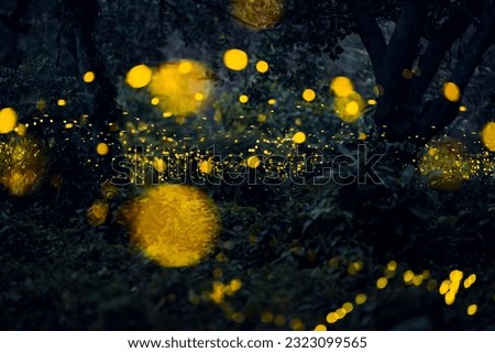Firefly flying in the forest. Firefly lights in the night like a fairy tale. Fireflies in the bush at night in Prachinburi Thailand. Light from fireflies at night in the forest, Long exposure photo.8ค Royalty-Free Stock Photo #2323099565