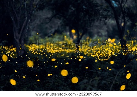 Firefly flying in the forest. Firefly lights in the night like a fairy tale. Fireflies in the bush at night in Prachinburi Thailand. Light from fireflies at night in the forest, Long exposure photo.8ค Royalty-Free Stock Photo #2323099567
