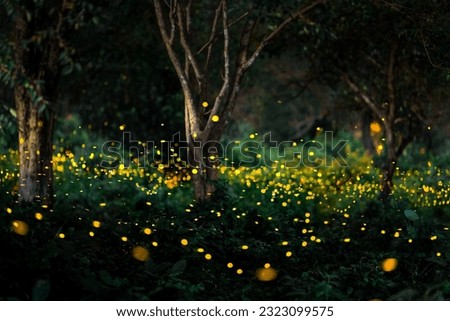 Firefly flying in the forest. Firefly lights in the night like a fairy tale. Fireflies in the bush at night in Prachinburi Thailand. Light from fireflies at night in the forest, Long exposure photo.8ค Royalty-Free Stock Photo #2323099575