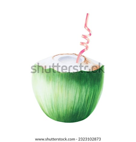 Watercolor illustration of green coconut with pink tube for drinks. Beach cocktail with straw for cocktail isolated on white background. For designers, spa decoration, postcards, wedding, greetings,