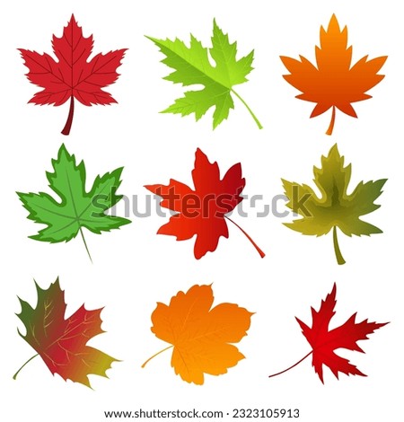 Maple Leaf Vector Symbol With Icon Big Collections. Canada Illustration Maple Leaf Clip Art. Best Colorful Autumn Border Made From Maple Leaves Vector Design.