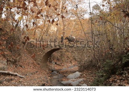 Man passing old bridge with his donkey
