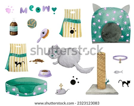 A set of accessories for a cat and other pets. Watercolor elements on the theme of pet care, goods for a pet store.