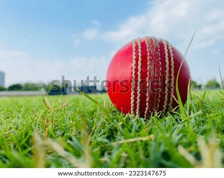 Cricket Leather Ball on Green Grass
