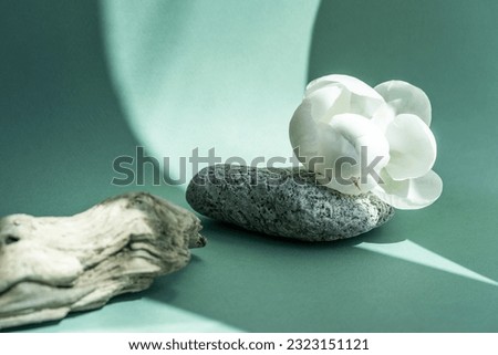 Podium for exhibitions and product presentations material stone, wood. Beautiful green background made of natural materials. Abstract nature scene with composition Product presentation
