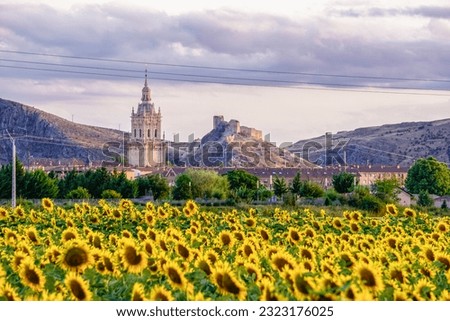 Panoramic view of a field of yellow sunflowers with a church in the background
