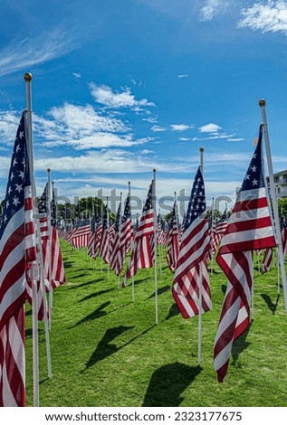 American flags planted in green grass with blue sky background.