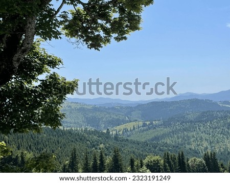 Ukrainian Carpathian Mountains. Nature. Forest. Sky. Beauty.