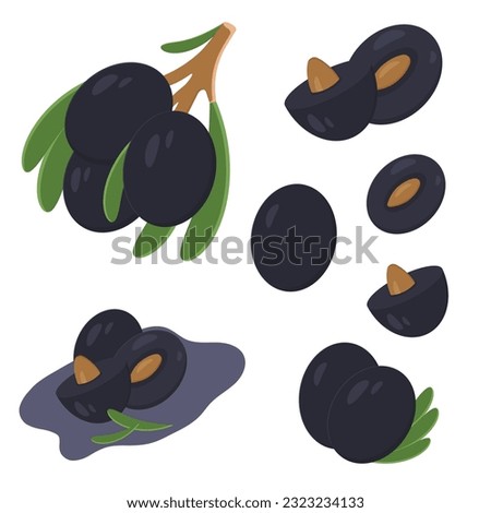 Black olives image set vector. Natural healthy food. Images can be combined