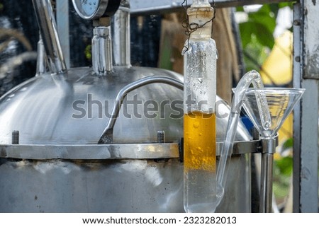 patchouli oil distillation process, distillation tube in the essential oil distillation process Royalty-Free Stock Photo #2323282013