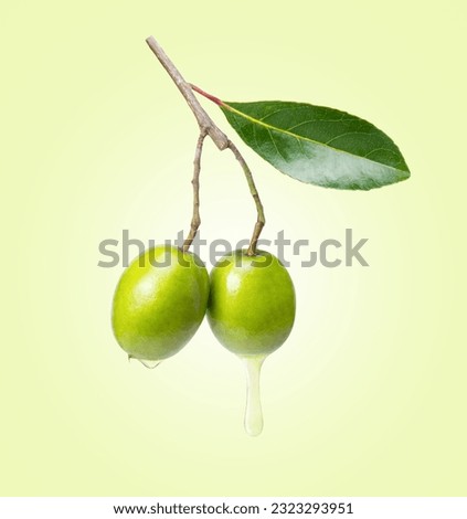 Olive oil drop dripping from fresh fruit isolated on green color background.