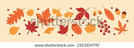 Set of autumn leaves and nuts Royalty-Free Stock Photo #2323324795