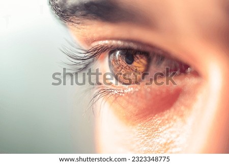Brown man eye macro shot. Macro shot of a man's eyes.close up view of adult asian man eye with eyelashes and eyebrow looking in front confidently. Royalty-Free Stock Photo #2323348775
