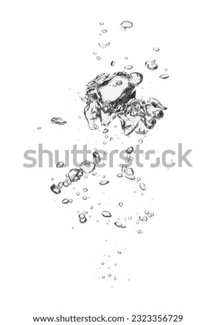 Air bubbles in water on white background