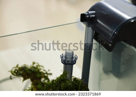 top filter type in Aquascape to avoid damage to the plant layout Royalty-Free Stock Photo #2323371869