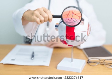 Doctor with human Eye anatomy model with magnifying glass. Eye disease, Refractive Errors, Age Related Macular Degeneration, Cataract, Diabetic Retinopathy, Glaucoma, Amblyopia, Strabismus and Health Royalty-Free Stock Photo #2323376817
