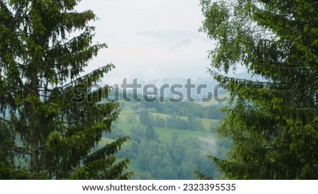 fir trees mountain landscape with cloudy sky.