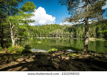 Lake Moserer in the Austrian alps is a beautiful lake in the middle of the Tirol area in Austria. Lake where people love to swim in Summer. A scenic lake surrounded by trees.