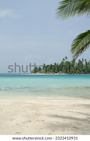 Tropical beach with palm trees during a sunny day, Guna Yala Comarca, Panama - stock photo