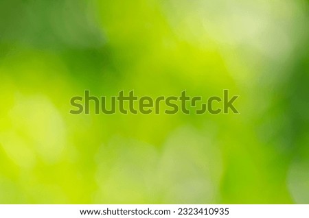 Green blurred background with sunlight - stock photo