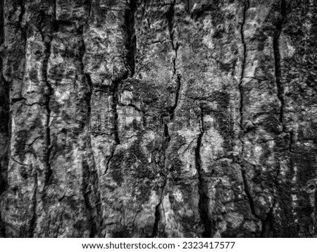 Old tree bark grey toned texture. Tree peel surface digital illustration. Obsolete oak tree bark colorful image with red and blue shades. Natural tree bark background. Wooden backdrop. Artistic wood