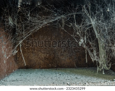 White web on a black brown background, scary frames made of cobwebs. High quality stock photo image featuring a real creepy spider web isolated against a creepy Halloween background 