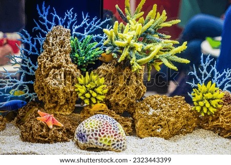 Saltwater dream coral reef aquarium tank. Colorful Tropical Corals, underwater landscape Royalty-Free Stock Photo #2323443399