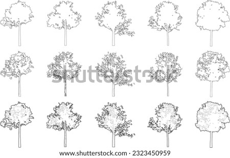 Tree elevation line silhouettes - maple