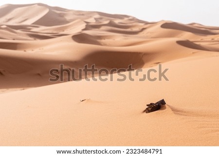 A fish tin left behind, polluting the Sahara desert, Morocco
