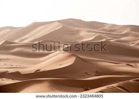 Picturesque dunes in the Erg Chebbi desert, part of the African Sahara, Morocco