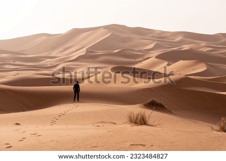 A person walking through the Erg Chebbi desert in the African Sahara, Morocco